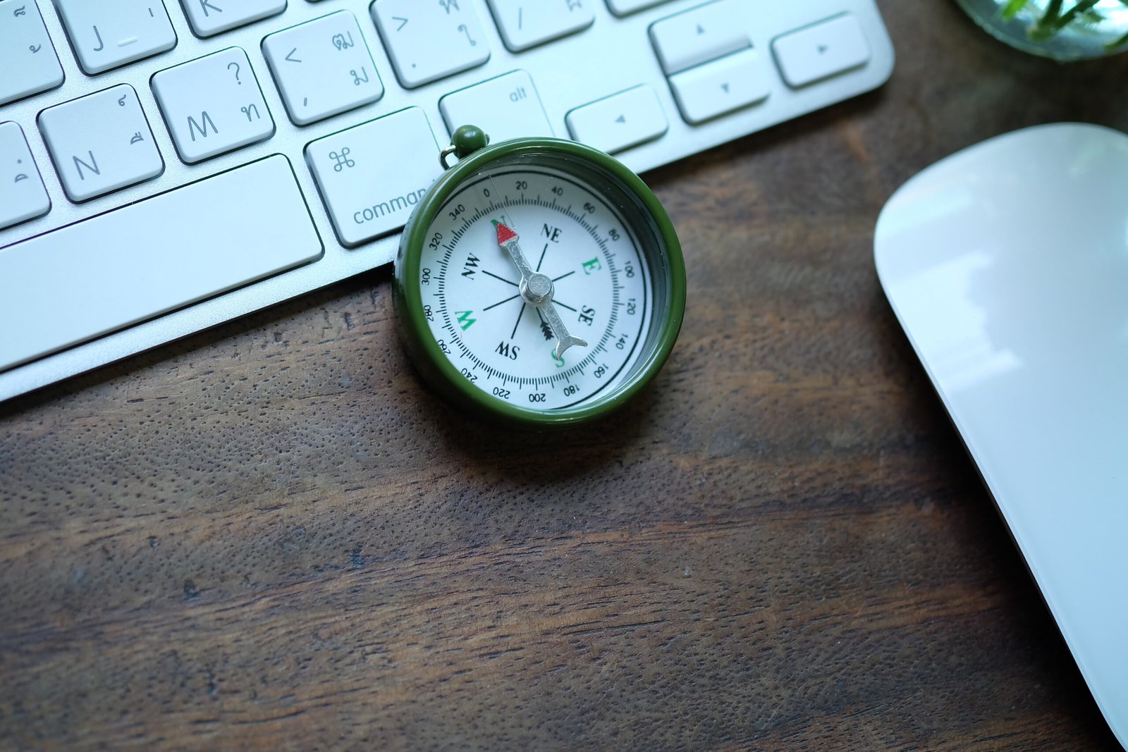 Read more about the article the career compass: a parent’s guide to supporting their child’s dreams